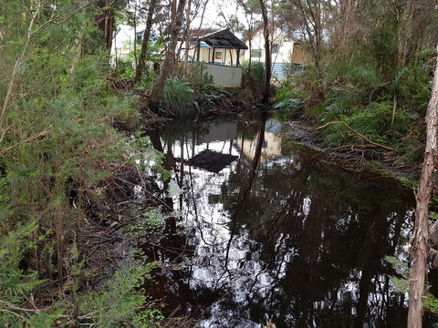 Strahan Retreat Holiday Park - Lennox Head Accommodation 33