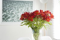 Book Kingston Beach Accommodation Vacations Lennox Head Accommodation Lennox Head Accommodation