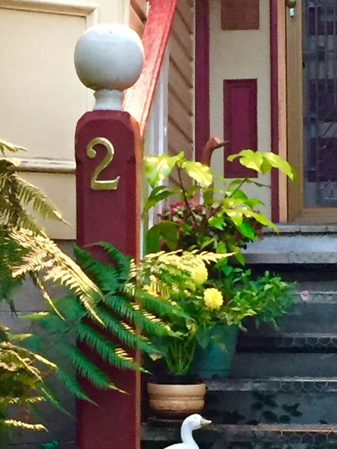 Wandering Geese Boutique Bed And Breakfast - Lennox Head Accommodation 25