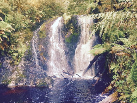 Wandering Geese Boutique Bed And Breakfast - Lennox Head Accommodation 29