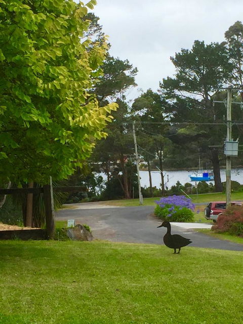 Wandering Geese Boutique Bed And Breakfast - Lennox Head Accommodation 15