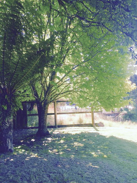 Wandering Geese Boutique Bed And Breakfast - Lennox Head Accommodation 30