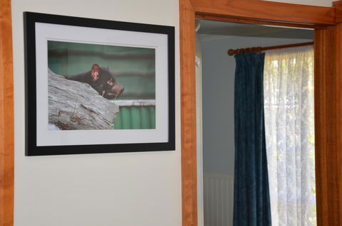 Castaway Holiday Apartments - Lennox Head Accommodation 3