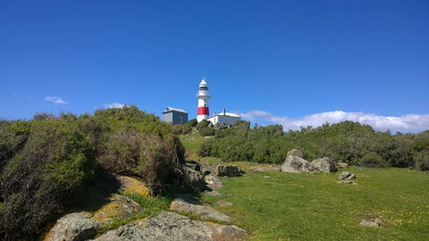 BIG4 Low Head Tourist Park - Lennox Head Accommodation 6