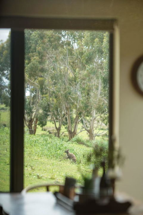 Adventure Bay Retreat Bruny Island - Lennox Head Accommodation 7