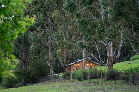 Adventure Bay Retreat Bruny Island - Lennox Head Accommodation 24