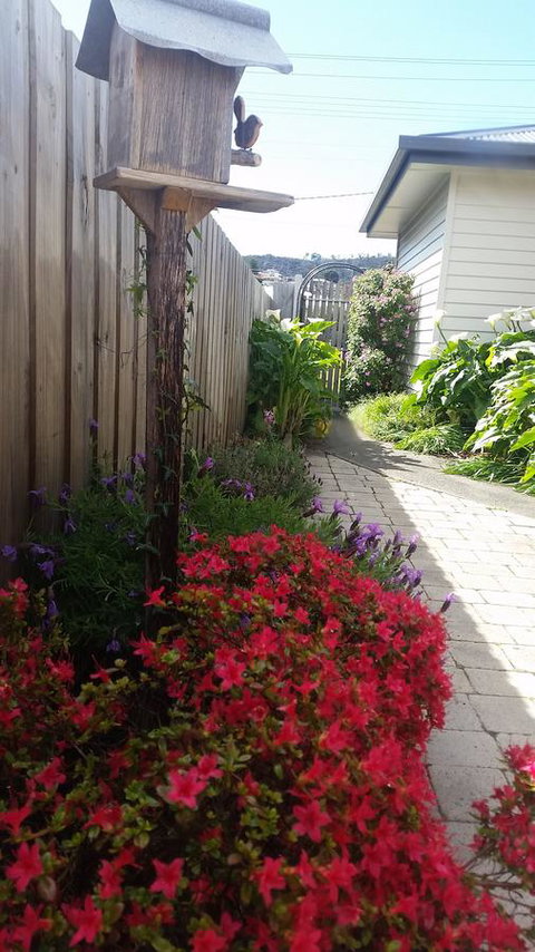 Driftwood-Cottage - Lennox Head Accommodation 16