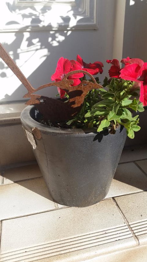 Driftwood-Cottage - Lennox Head Accommodation 36