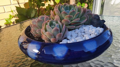 Driftwood-Cottage - Lennox Head Accommodation 37