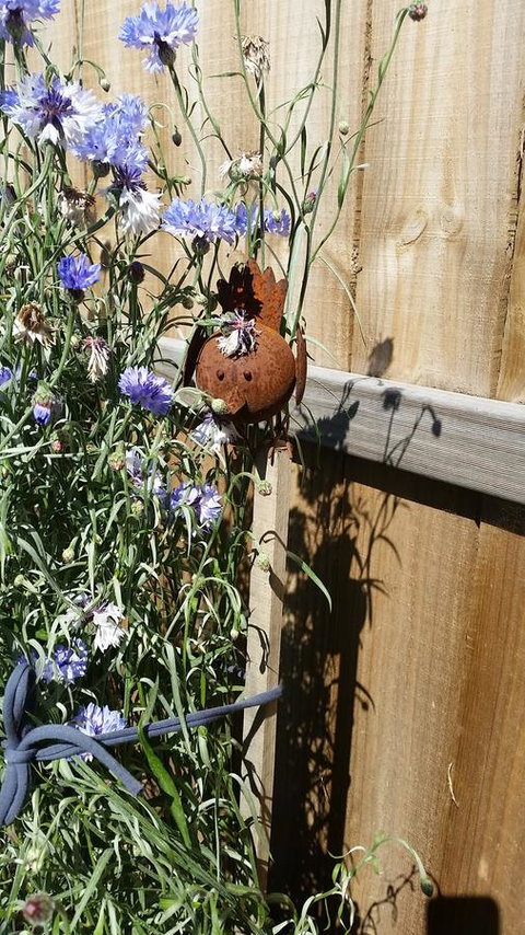 Driftwood-Cottage - Lennox Head Accommodation 26