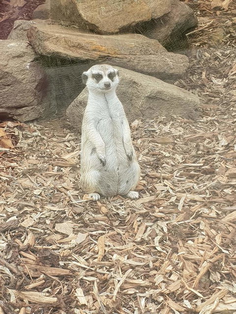 Driftwood-Cottage - Lennox Head Accommodation 44