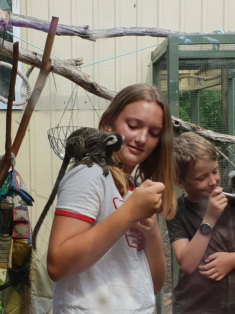 Driftwood-Cottage - Lennox Head Accommodation 43