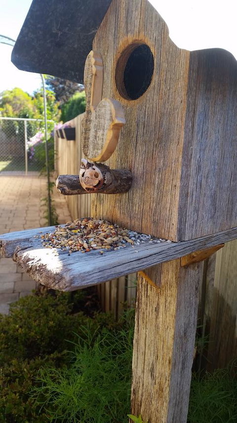 Driftwood-Cottage - Lennox Head Accommodation 29