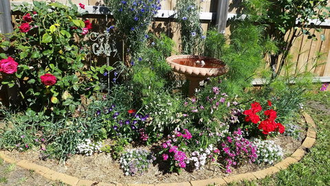 Driftwood-Cottage - Lennox Head Accommodation 25