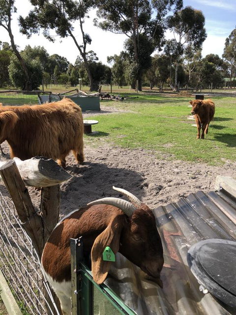 Nutcrackers Lodge - Lennox Head Accommodation 2
