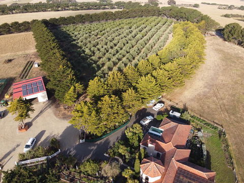 OMARU FARM STAY - Lennox Head Accommodation 1
