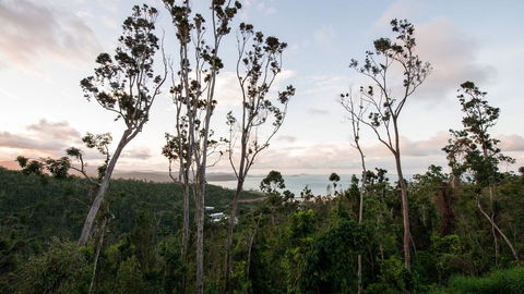 Onestep Airlie Retreat - Lennox Head Accommodation 0
