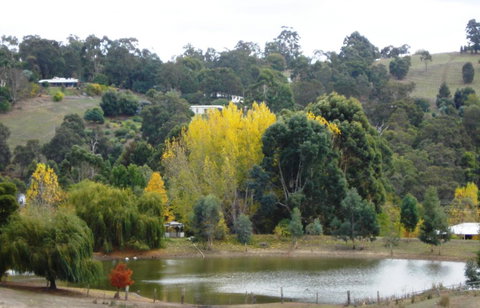 Pamelas Retreat - Lennox Head Accommodation 3