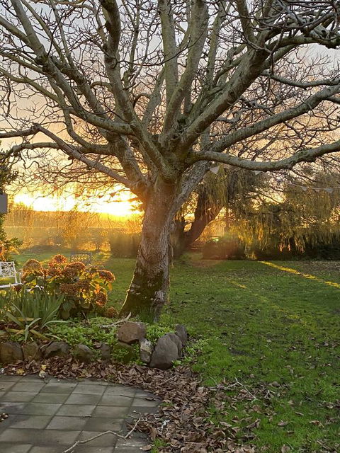 Peg Cottage - Lennox Head Accommodation 0