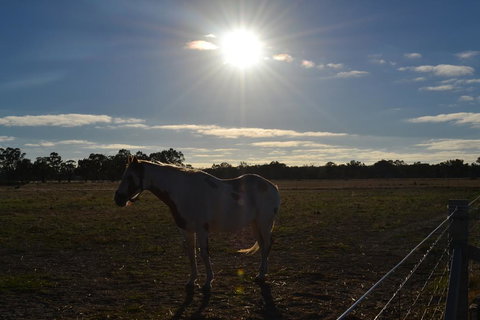 Penny's Place In The Pyrenees - Lennox Head Accommodation 1