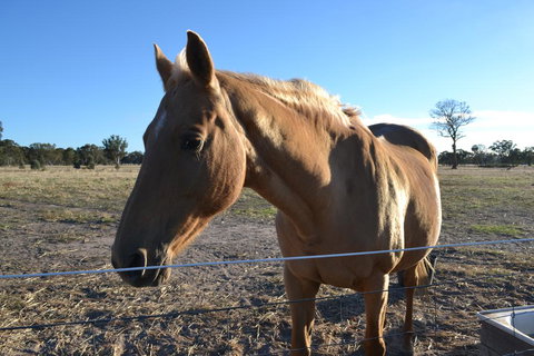 Penny's Place In The Pyrenees - Lennox Head Accommodation 0