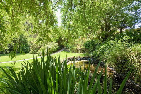 PLUM TREE COTTAGE - Spa Cottage With Woodfire - Lennox Head Accommodation 3