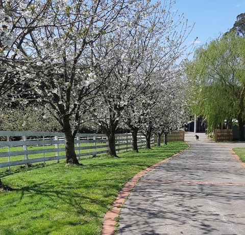 Ray's Farm - Lennox Head Accommodation 1