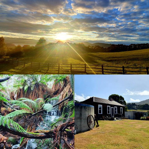 Ruby's Cottage Farm Stay - Lennox Head Accommodation 3