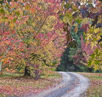 Rustic Spirit - Lennox Head Accommodation