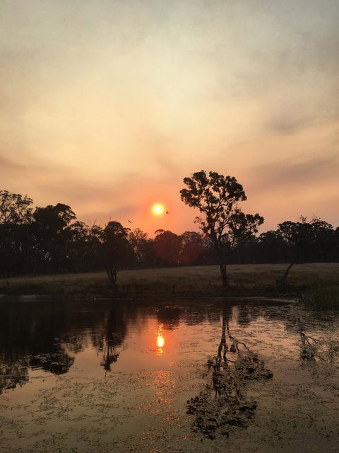 Serenity On Stanthorpe - Lennox Head Accommodation 2