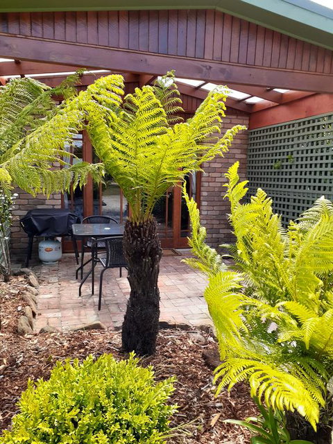 Sleepy Hollow Hideout (Hidout 2) - Lennox Head Accommodation 1