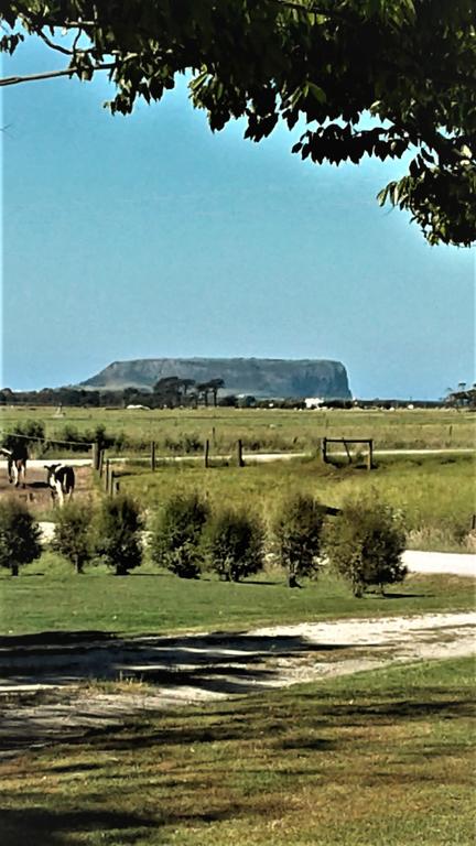 Sleepy Hollow Hideout - Hideout 1 - Lennox Head Accommodation 3