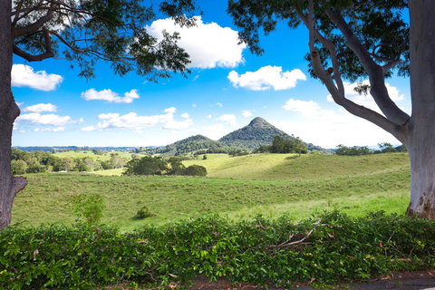 Sunrise At Sanquar, Noosa Hinterland - Lennox Head Accommodation 2