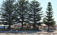 Tall Pines Beach House At Mount Dutton Bay (part Of Coffin Bay Waterways) - thumb 1