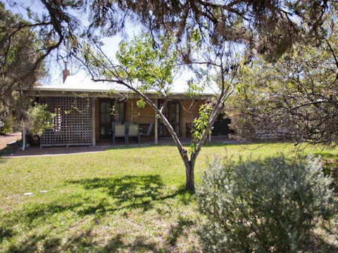 Tea Tree - Lennox Head Accommodation 1