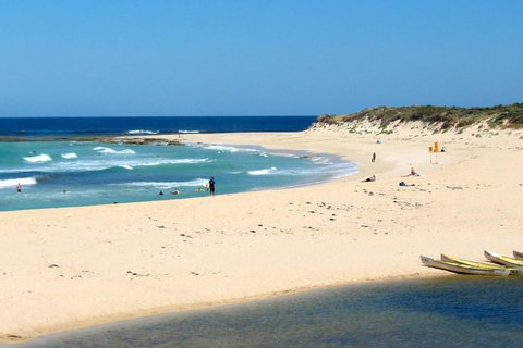 Tea Tree - Lennox Head Accommodation 2