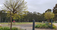 Book Lebrina Accommodation Vacations Lennox Head Accommodation Lennox Head Accommodation