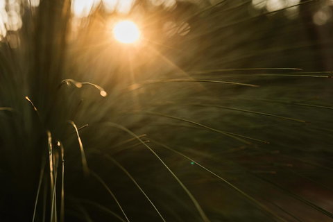 Bay Of Fires Bush Retreat - Lennox Head Accommodation 26