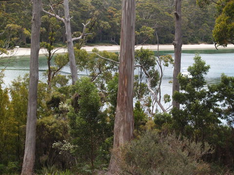 Stewarts Bay Lodge - Lennox Head Accommodation 23