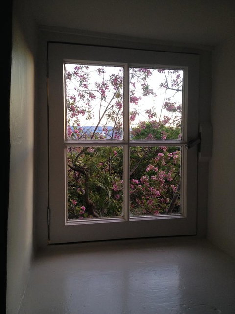 Blue Magnolia - Lennox Head Accommodation 36
