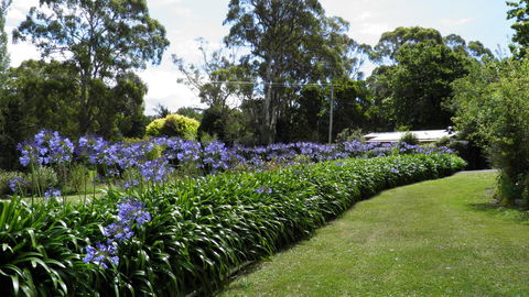Tamar River Retreat - Lennox Head Accommodation 11