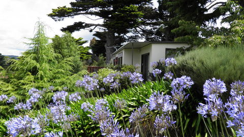 Tamar River Retreat - Lennox Head Accommodation 28