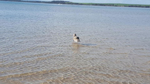 Wilsons Promontory Motel - Lennox Head Accommodation 35