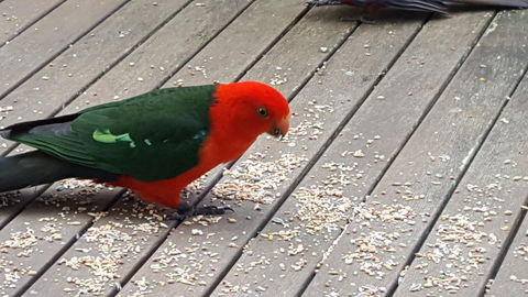 Wilsons Promontory Motel - Lennox Head Accommodation 27