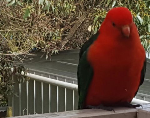 Wilsons Promontory Motel - Lennox Head Accommodation 23