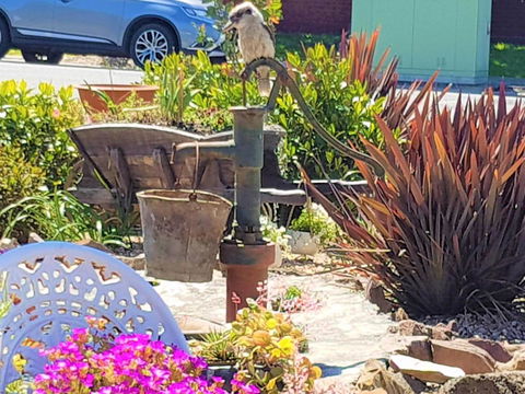 Wilsons Promontory Motel - Lennox Head Accommodation 8