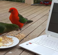 Wilsons Promontory Motel - Lennox Head Accommodation