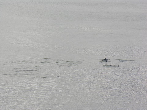 Clifftop Apartments Portland Vic - Lennox Head Accommodation 14