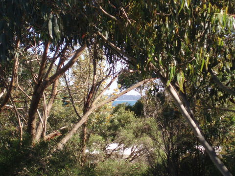 Aloha Ha Phillip Island - Lennox Head Accommodation 24