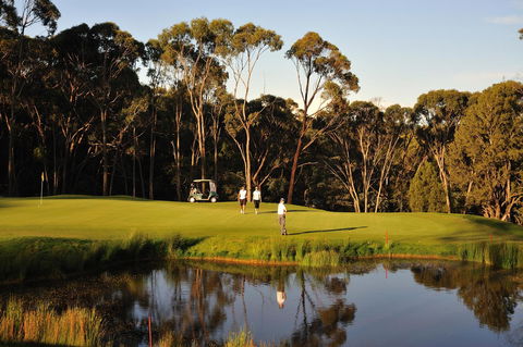 RACV Goldfields Resort - Lennox Head Accommodation 31